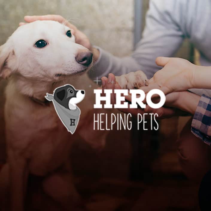 Spearbrand Hero Helping Pets Case Study